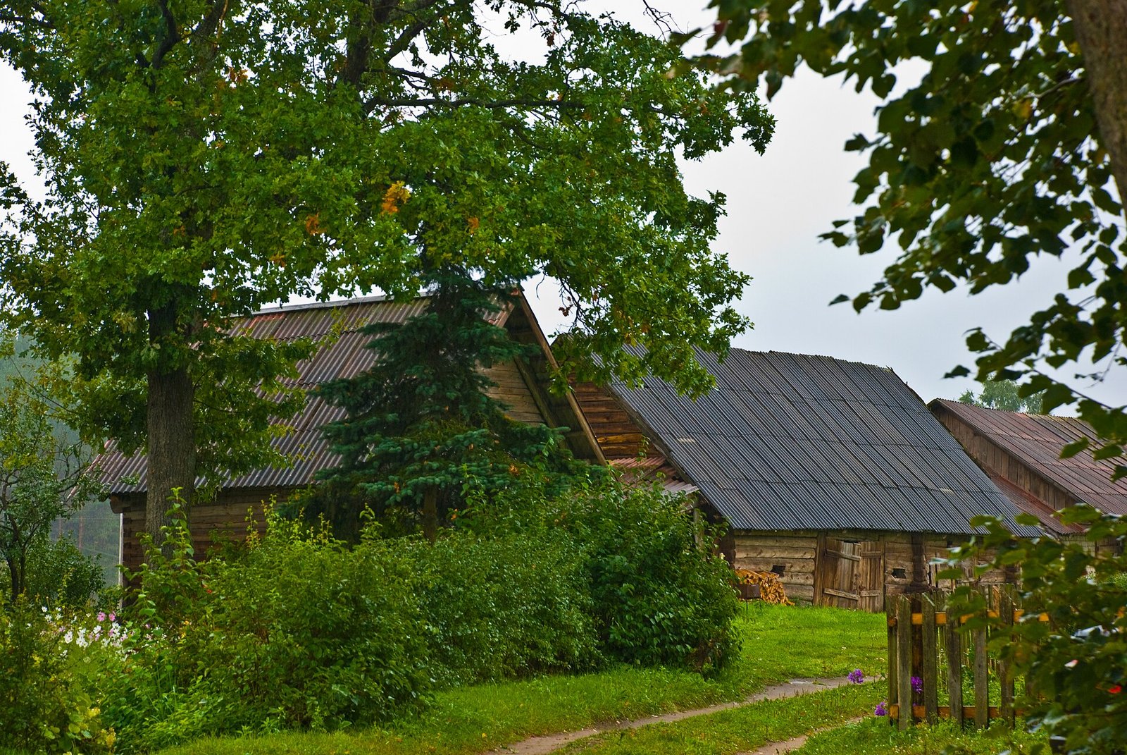 Zervynos: Dzūkijos kaimas, kuriame laikas teka lėčiau